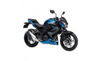 Comprare Carene Kawasaki Z250/Z300