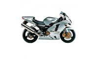 Comprare Carene Kawasaki ZX12R 2002-2006