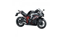 Comprare Carene Kawasaki ZX25R