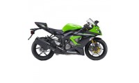 Comprare Carene Kawasaki ZX6R 2013-2018