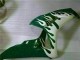 Comprare Carena Moto Honda CBR1000RR 2006-2007 - Bianco Verde Fiamma