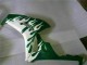 Comprare Carena Moto Honda CBR1000RR 2006-2007 - Bianco Verde Fiamma