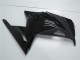 Comprare Carena Moto Kawasaki Ninja 300 EX300R 2013-2024 - Nero Lucido Nero Opaco