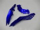 Comprare Carena Moto Kawasaki Ninja 300 EX300R 2013-2024 - Blu Nero Bianco Fiamma