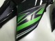 Comprare Carena Moto Kawasaki Z800 2013-2018 - Verde Nero Lucido