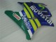 Comprare Carena Moto Honda CBR600 F3 1995-1996 - Blu Verde Giallo MoviStar Rosso Castrol