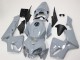Comprare Carena Moto Honda CBR600RR 2005-2006 - Nardo Grigio
