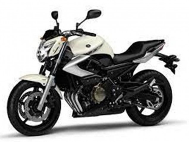 Comprare Carena Moto Yamaha XJ6 2009-2012 - Bianco Argento Nero