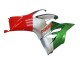 Comprare Carena Moto Ducati Panigale V2 2020-2024 - Argento Rosso Verde