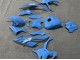 Comprare Carena Moto BMW S1000RR 2023-2024 - Lucido Blu