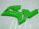 Comprare Carena Moto Kawasaki ZX6R 2005-2006 - Verde