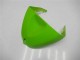 Comprare Carena Moto Kawasaki ZX6R 2005-2006 - Verde Nero Lucido Elf