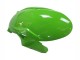 Comprare Carena Moto Kawasaki ZX6R 2023-2025 - Verde Nero