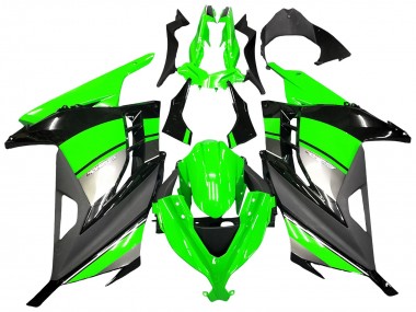 Comprare Carena Moto Kawasaki EX300 2013-2024 - Verde Argento Nero