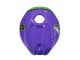Comprare Carena Moto Aprilia RS125 2006-2011 - Viola Verde Rosso
