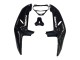 Comprare Carene Moto Honda CBR900RR 919 1998-1999 - Nero Lucido Bianco Decals