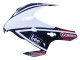 Comprare Carena Moto Honda CBR1000RR 2008-2011 - Bianco Rosso Blu Nero Stella Lee Carrera