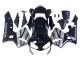 Comprare Carena Moto Honda CBR600RR 2003-2004 - Argento Nero Lucido