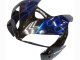 Comprare Carena Moto Honda CBR600RR 2005-2006 - Nero Lucido Blu Fiamma
