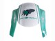 Comprare Carena Moto Honda CBR600RR 2005-2006 - Verde Chiaro Bianco Nero Lucido Joe Rocket