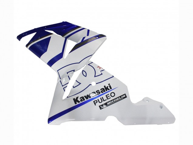 Comprare Carena Moto Kawasaki ZX10R 2004-2005 - Nero Bianco