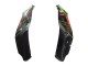 Comprare Carena Moto Kawasaki ZX10R 2021-2025 - Verde Nero Rosso