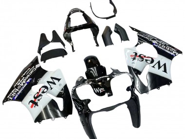 Comprare Carena Moto Kawasaki ZX6R 2000-2002 - Nero Lucido Bianco West Michelin