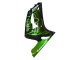 Comprare Carena Moto Kawasaki ZX6R 2003-2004 - Nero Lucido Verde Fiamma