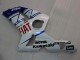 Comprare Carena Moto Kawasaki ZX6R 2003-2004 - Bianco Blu Rosso Fiat