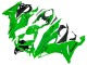 Comprare Carena Moto Kawasaki ZX6R 2019-2022 - Verde