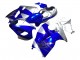 Comprare Carena Moto Suzuki GSXR 1300 Hayabusa 1996-2007 - Blu Argento Hayabusa