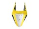 Comprare Carena Moto Yamaha YZF R3/R25 2019-2021 - Giallo Bianco Nero Banda