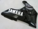 Comprare Carena Moto Yamaha YZF 1000 R1 2000-2001 - Nero Lucido Bianco Decal