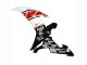 Comprare Carena Moto Yamaha YZF 1000 R1 2002-2003 - Bianco Rosso Nero Castrol