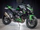 Comprare Carena Moto Kawasaki Z800 2013-2018 - Verde Nero Lucido