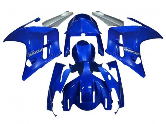 Comprare Carena Moto Yamaha FJR1300 2001-2006 - Blu Argento