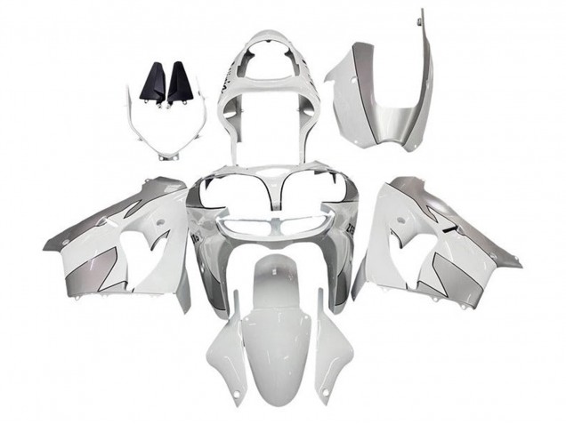 Comprare Carena Moto Kawasaki ZX9R 2002-2003 - Bianco Argento