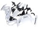 Comprare Carena Moto Kawasaki EX650 2012-2016 - Bianco Nero