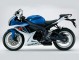 Comprare Carena Moto Suzuki GSXR 600/750 2011-2024 - Blu Bianco