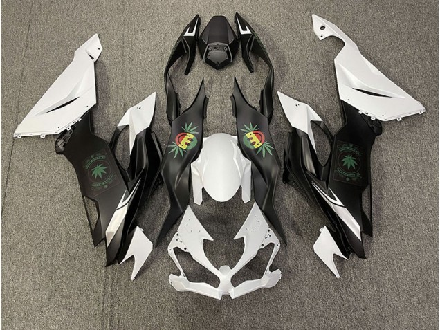 Mine Réjouie 19-23 Kawasaki ZX6R Carene Moto Mine Réjouie 19-23 Kawasaki ZX6R Carene Moto
